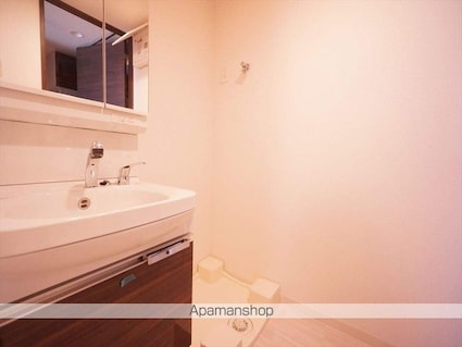 プレサンス錦通　ＴＨＥ　葵[1K/27.72m2]の洗面所