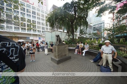 ダイネス壱番館渋谷[1R/19.9m2]の周辺2