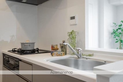 リーフシティ市川　ザ・レジデンス[1LDK/41.92m2]のキッチン2