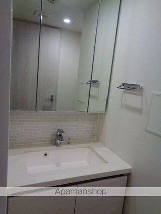 ザ・パークハビオ三軒茶屋テラス[1K/25.48m2]の洗面所