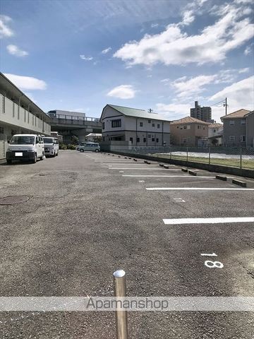 セントポーリアのその他写真