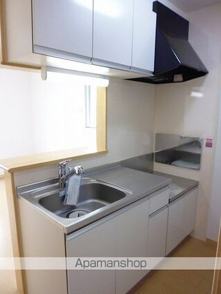 グレイスガーデン[1LDK/42.8m2]のキッチン