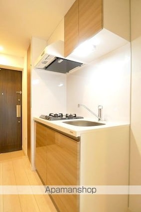 ラフィスタ大山[2K/25.42m2]のその他内装8