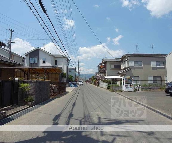 コスモスの周辺写真