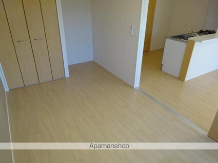 Ｒｉｔｚ　Ｓｏｌｉｕｓ　Ｓｏｕｔｈｗｉｎｇ[2LDK/54.91m2]のその他部屋・スペース3