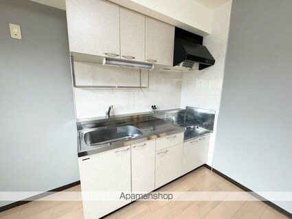 レジデンス・ジャパン３[2DK/45m2]のキッチン