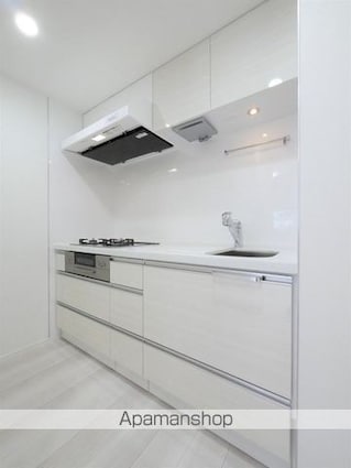 ブライズフォルム墨田[1LDK/40.7m2]のキッチン