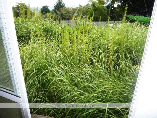 今井ハイツ E棟の内装写真