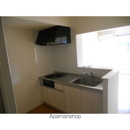 メゾン・ド・フローラＩＩ[2DK/53.97m2]のキッチン