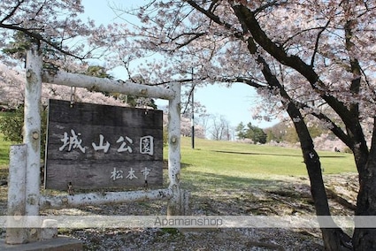 須澤城山貸家（新棟）[2LDK/54.45m2]の周辺1