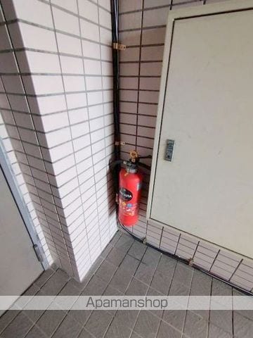 ショウウィングのその他写真