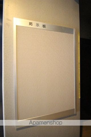 FELIZ SARAのその他写真