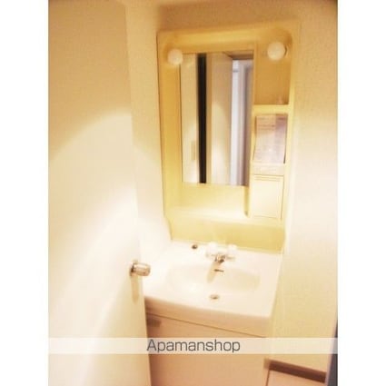 芦花ハウスⅡ[2DK/41.25m2]の洗面所