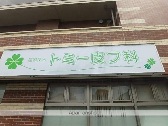 カトレアの周辺写真