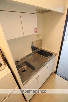 レオネクストウインズ立野[1K/26.08m2]のキッチン