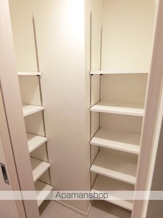 ザ・パークハビオ月島フロント[1R/25.66m2]の収納1