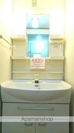 シャン・ミリューⅢ[1LDK/46.28m2]の洗面所