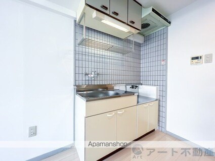 キャッスル朝生田　東棟[1R/21m2]のキッチン