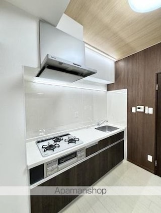 ラッフルズ　エグゼクティヴ[1R/33.1m2]のキッチン