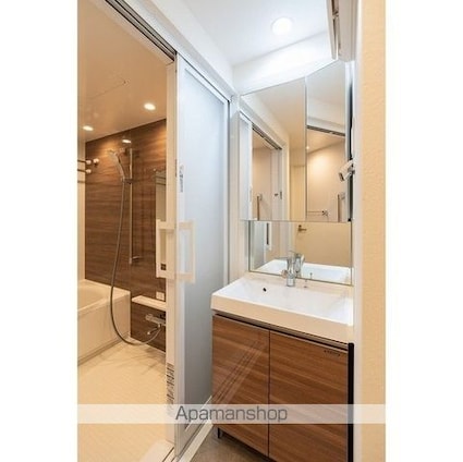 コンフォリア・リヴ新中野ＳＯＵＴＨ[1K/28.88m2]の洗面所