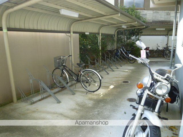 セントーレアのその他写真