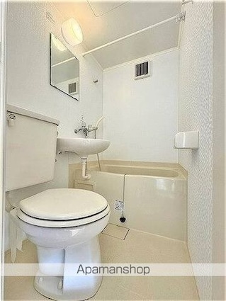 シティプラザ南麻布[1R/13.55m2]のその他内装3