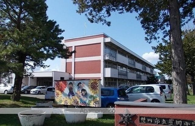 VIVACEIIの周辺写真