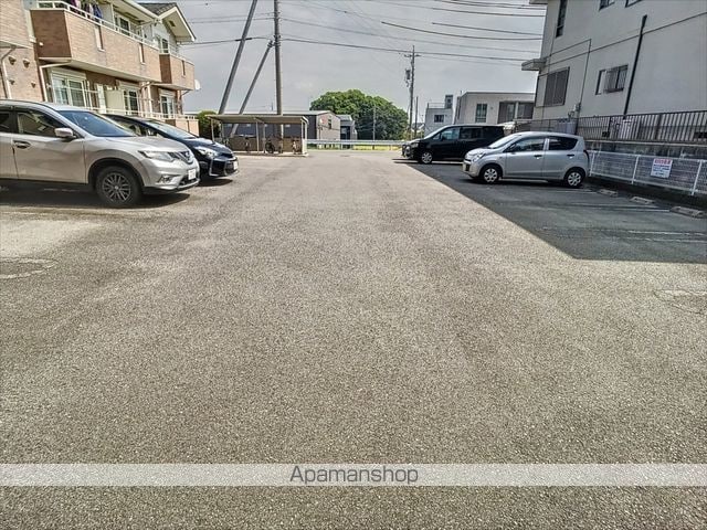 コニファーのその他写真