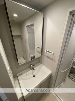 プラウドフラット墨田曳舟ディアージュ[1LDK/40.32m2]の洗面所