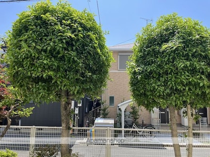 ＳＯＣＩＥＴＹ阿佐ヶ谷[2DK/43.2m2]の眺望