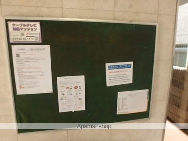 POURTOUJOURSUMEDAWESTIIのその他写真
