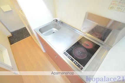 レオパレス平塚Ⅱ[1K/19.87m2]のキッチン