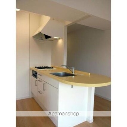 Ｆｉｎｅ　Ｃｒｅｓｔ[1K/30.48m2]のキッチン