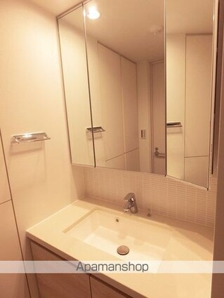 ザ・パークハビオ月島フロント[1R/25.66m2]の洗面所