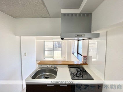 アルト雄郡　西棟[1R/22.9m2]の内装3