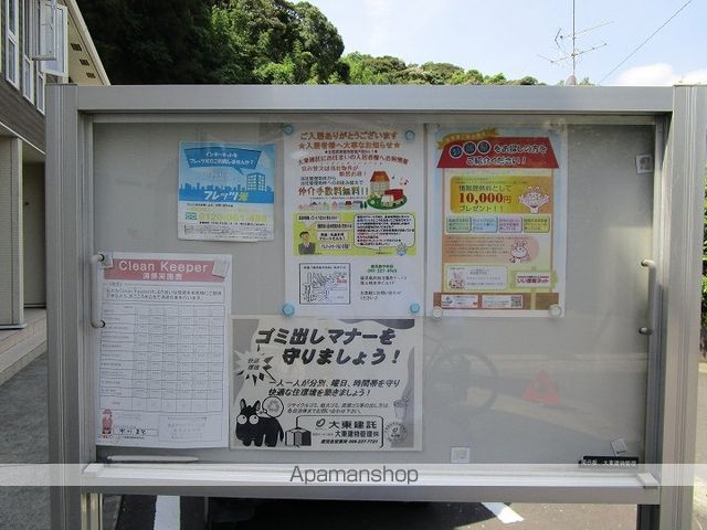 エヴァーグリーンのその他写真