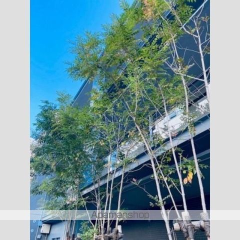 広尾アパートメントの内装写真
