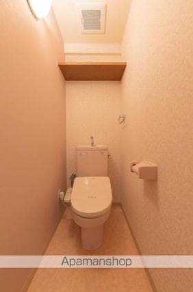 ＲＩＯ・ＰＬＡＴＩＮＯ[2LDK/60m2]のトイレ