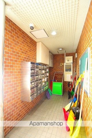 アルファロジェのその他写真