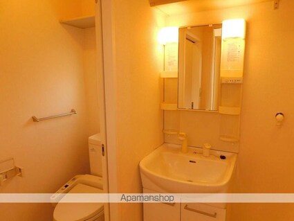 メゾンアイリス[2LDK/62.73m2]の洗面所