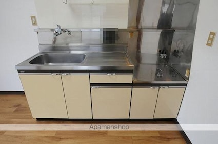 第二大河原荘[2DK/39.6m2]のキッチン