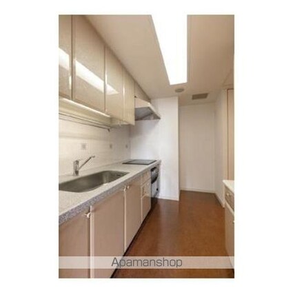 西新宿パークサイドタワー[2LDK/71.97m2]のキッチン