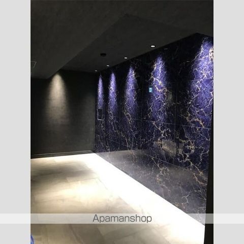SーRESIDENCE東陽町FELIZの内装写真