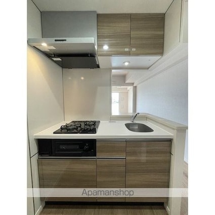 アルファコート常盤台３[1LDK/35.68m2]のキッチン