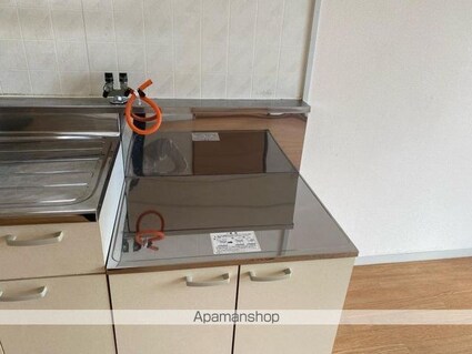 ラフィーネ　Ａ棟[2DK/45m2]の内装3