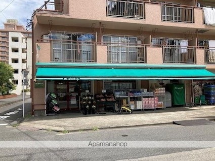 シャローム亀戸[1R/27.57m2]の周辺2