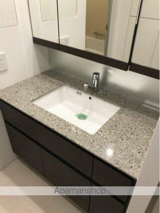 東京都新宿区富久町[2LDK/62.5m2]の洗面所