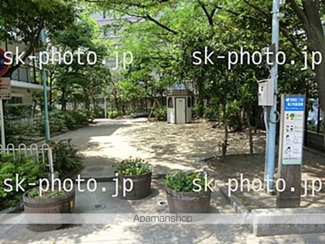 サンフラワーフィルの周辺写真