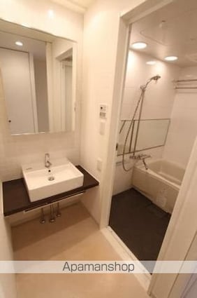 プライムアーバン目黒大橋ヒルズ[1K/25.47m2]の洗面所