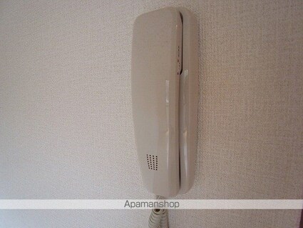 アマルフィイ[1K/30.03m2]のセキュリティ